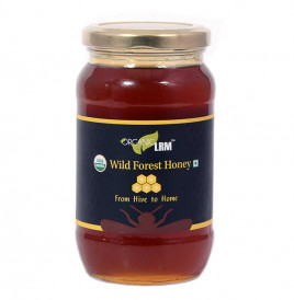 Organic LRM Wild Forest Honey   Glass Jar  500 grams